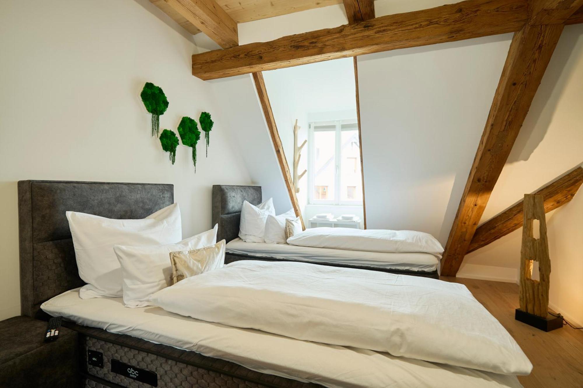Apartament Wood World Luxury - Massage - Bergblick - Tranpolin- Parken Markdorf Zewnętrze zdjęcie
