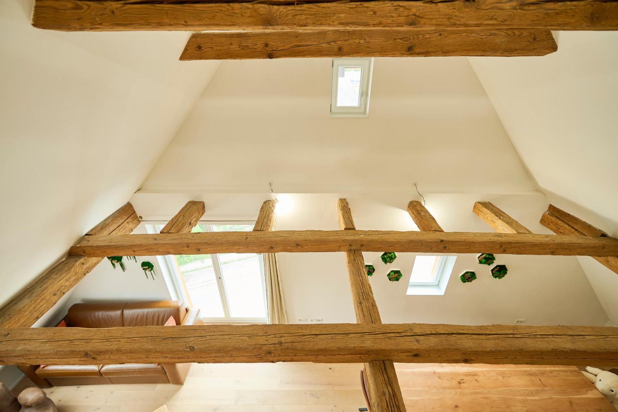 Apartament Wood World Luxury - Massage - Bergblick - Tranpolin- Parken Markdorf Zewnętrze zdjęcie